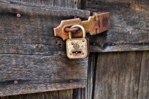 the door, by wlodek, castle